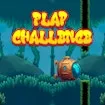 Flap Challenge